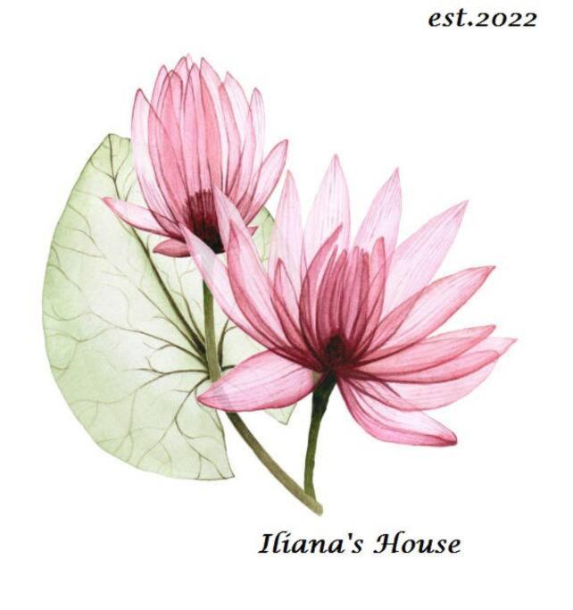 Iliana'S House Daire Zipárion Dış mekan fotoğraf